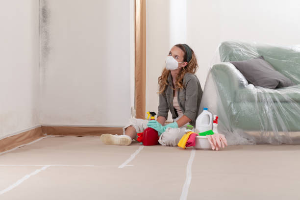Reliable Mold Remediation contractor in Rapid City, MI by 24 Hour Mold Removal